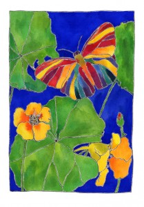rainbow coloured butterfly amongst the nasturtiums