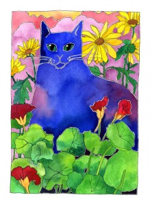 Blue cat in nasturtium and daisy garden with pinky sunset cloudy sky background