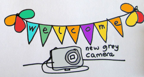 hello-grey-camera