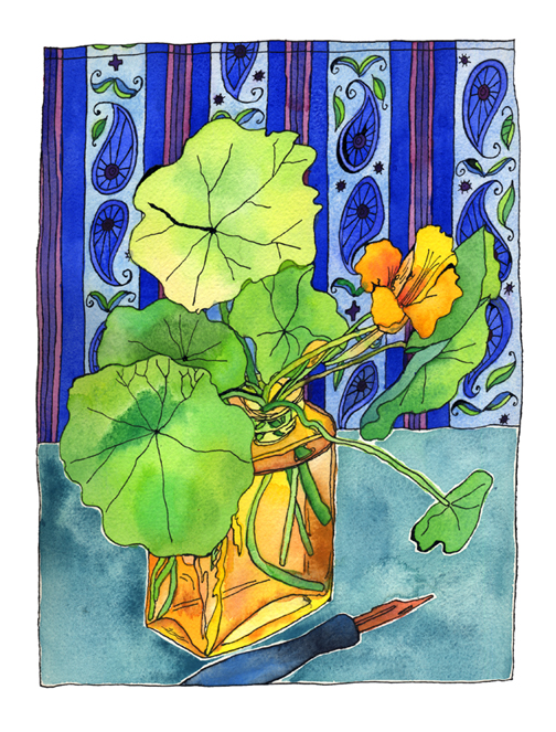 First Nasturtium