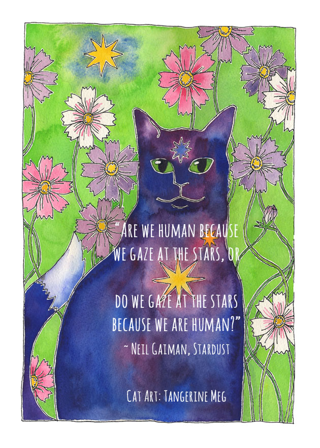 Cat Art: Water colour painting of a blue cat with a shining golden star in his heart gazes at us from his garden of cosmos flowers.