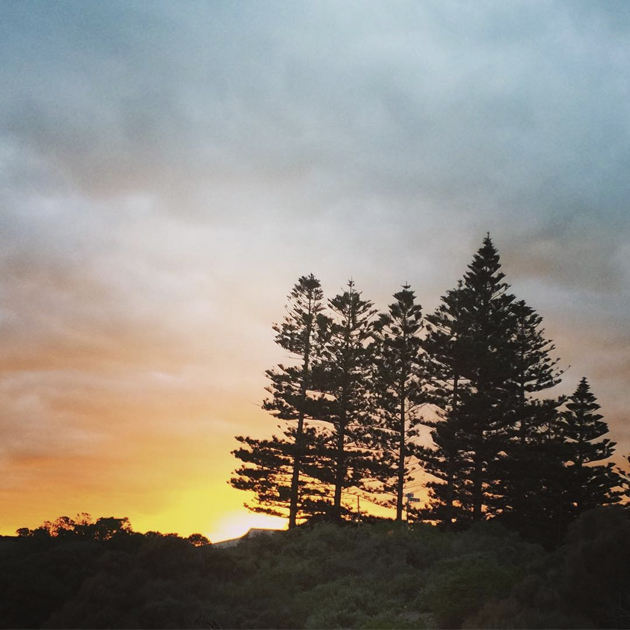 Trees at Sunrise, Fleurieu Peninsula