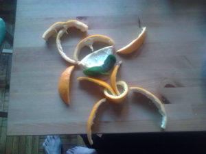 Orange peel Dude