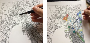 Two stages of a hand drawing a winged cat picture, the first is black and white drawing, in the second the painted colour is started.