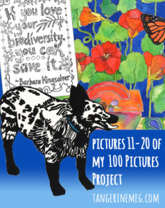An e-collage of Sunny dog, Barbara Kingsolver quote colouring page, and Arcs and Iridescence nasturtium painting with hand lettered looking header text.