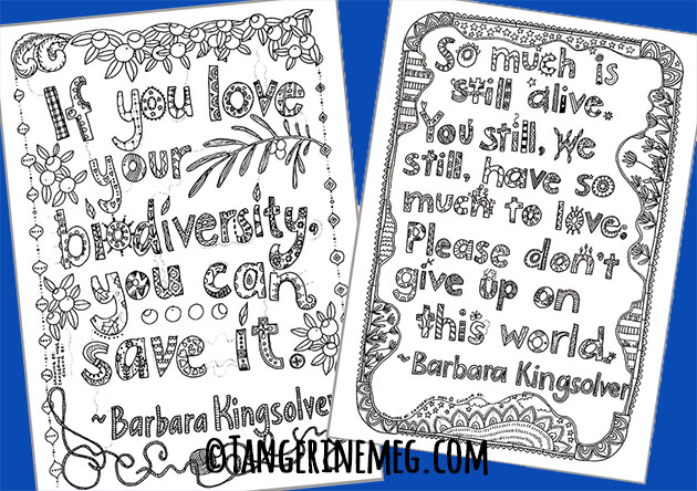 Two hand-lettered quotes from my 100 Pictures Project, with a blue background. Imagery is by Tangerine Meg; quotes are from Barbara Kingsolver