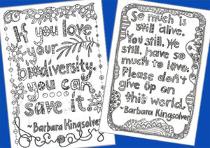 Two hand-lettered quotes, with a blue background. Imagery is by Tangerine Meg; quotes are from Barbara Kingsolver
