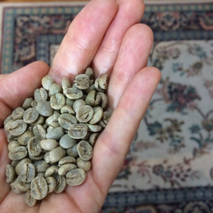 a hand holding green coffee beans in the foreground, with a patterned rug out of focus in the background