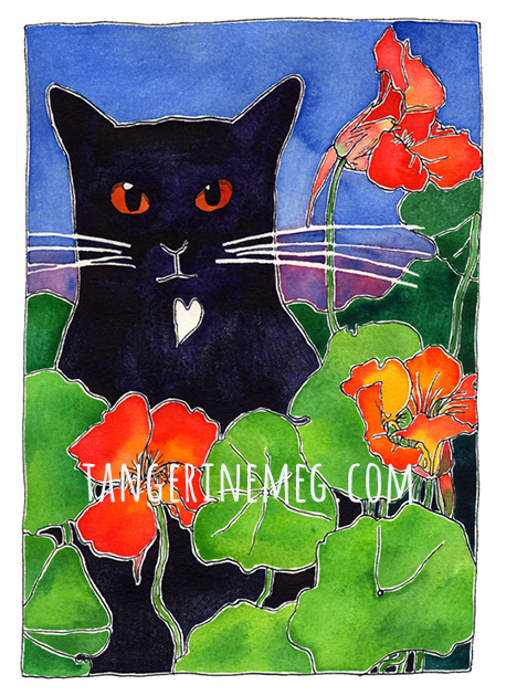 black cat amongst nasturtiums artwork by Tangerine Meg