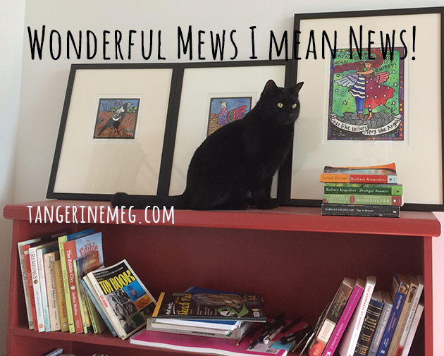 black cat on a red book shelf
